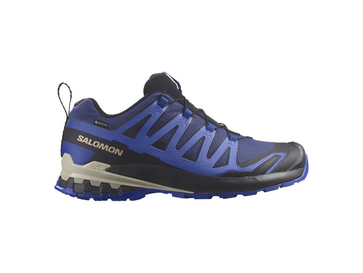 Salomon XA Pro 3D V9 GTX heren wandelschoenen - Blue